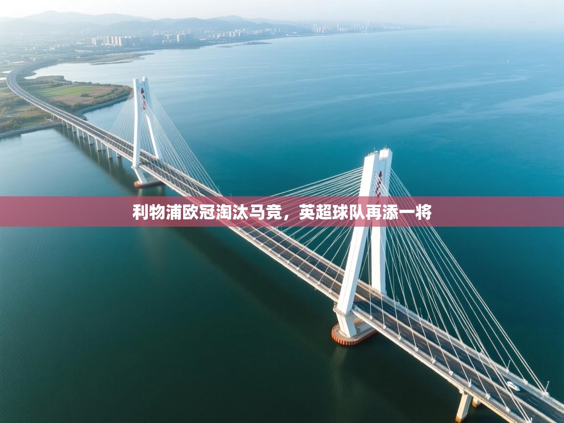 利物浦欧冠淘汰马竞，英超球队再添一将  第1张